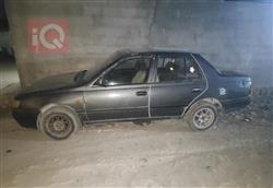 نيسان صني